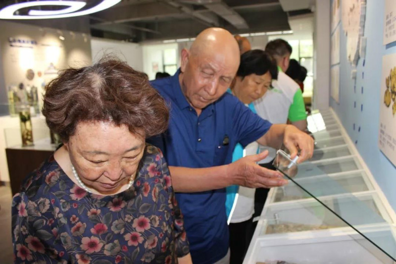 香港九龙精准特料