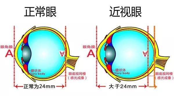 香港九龙精准特料