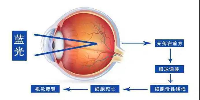 香港九龙精准特料