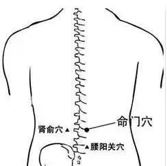 香港九龙精准特料