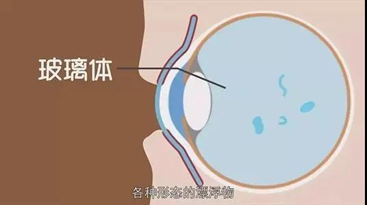 香港九龙精准特料