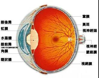 香港九龙精准特料