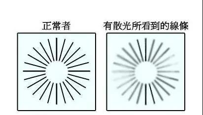 香港九龙精准特料