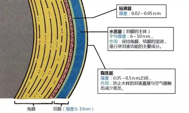 香港九龙精准特料