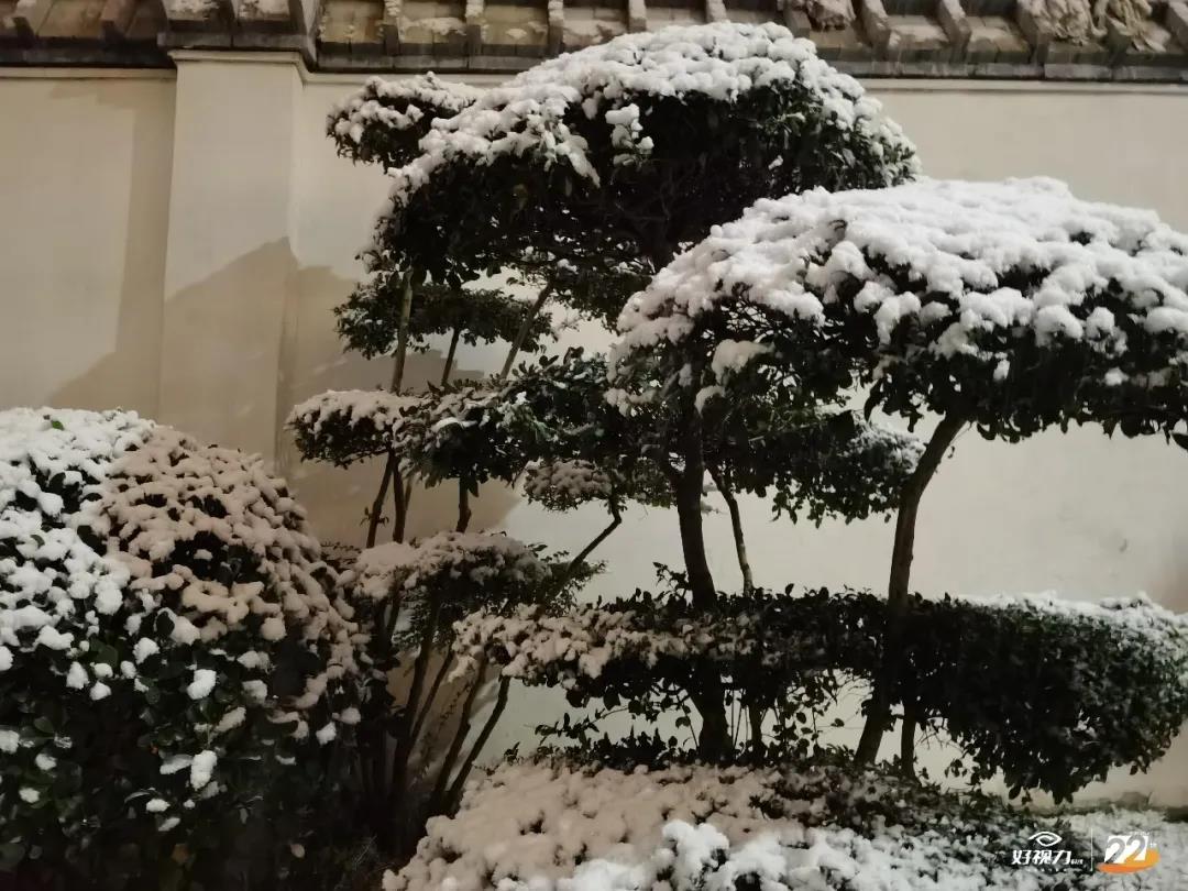 香港九龙精准特料