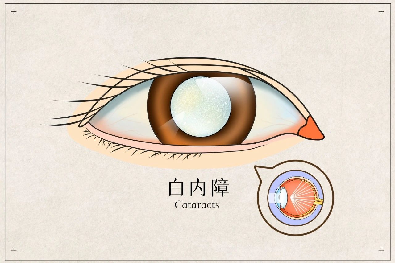 香港九龙精准特料