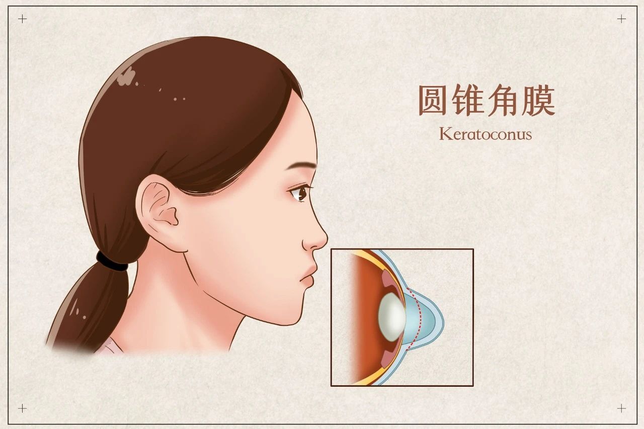 香港九龙精准特料